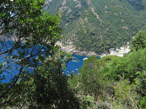 Promontorio di Portofino immagini\calendario\20180415_1.jpg